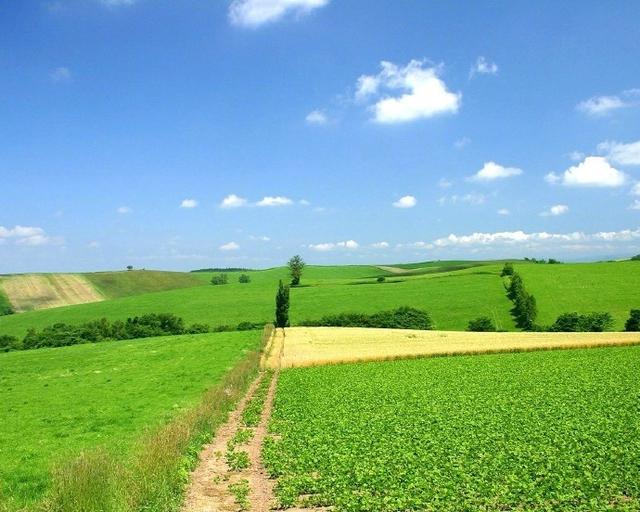 ���̾��ٵĄ�־�������ܳ�������ģ��xһ���ͽo�Լ�